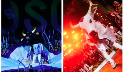 Veja as datas de ensaio dos bois-bumbás em Manaus