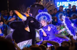 Movimento Marujada promove Ensaio dos Bumbás e show Marujada de Guerra neste fim de semana