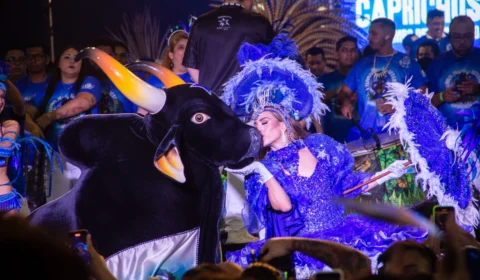 Movimento Marujada promove Ensaio dos Bumbás e show Marujada de Guerra neste fim de semana