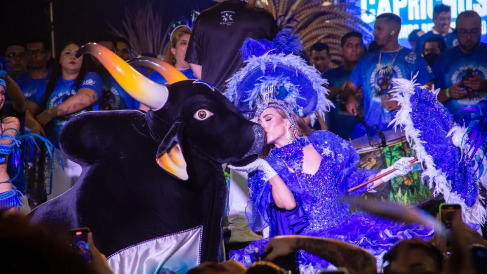 Movimento Marujada promove Ensaio dos Bumbás e show Marujada de Guerra neste fim de semana