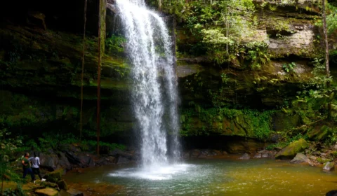 Dia do Turismo Ecológico destaca potencial de Palmas para atividades em áreas naturais