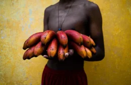 Entre Pará e Pernambuco: Nay Jinknss e Bruno Jungmann expõem fotografias no CCBA