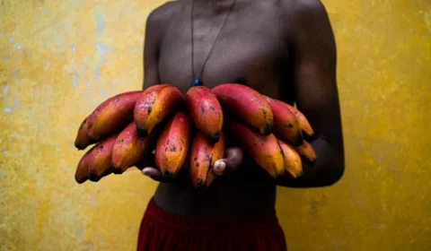 Entre Pará e Pernambuco: Nay Jinknss e Bruno Jungmann expõem fotografias no CCBA