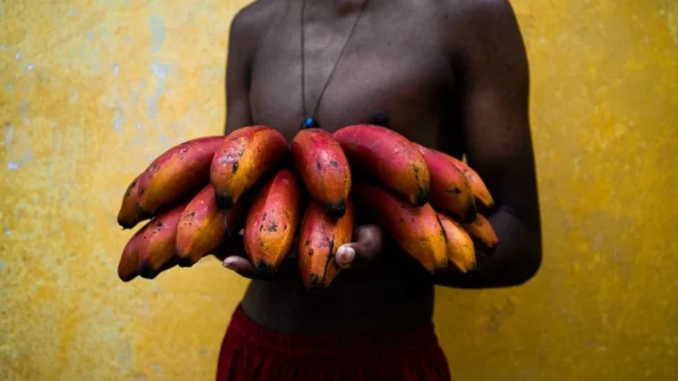 Entre Pará e Pernambuco: Nay Jinknss e Bruno Jungmann expõem fotografias no CCBA