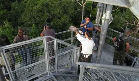 O que fazer em Manaus no feriado do dia 1º de maio?