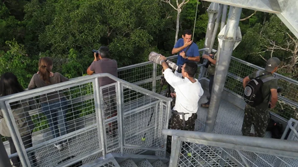 O que fazer em Manaus no feriado do dia 1º de maio?