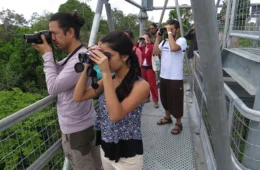 Veja o que fazer no feriado de Páscoa em Manaus