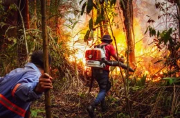 Fotojornalista da Amazônia: Carolina Caramurú estreia exposição na França e lança projeto focado em gênero