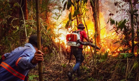 Fotojornalista da Amazônia: Carolina Caramurú estreia exposição na França e lança projeto focado em gênero