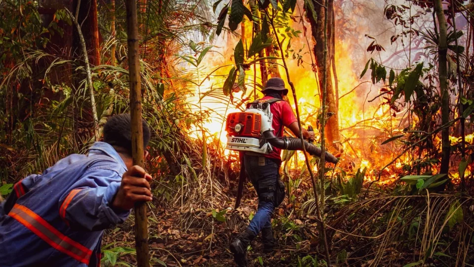 Fotojornalista da Amazônia: Carolina Caramurú estreia exposição na França e lança projeto focado em gênero