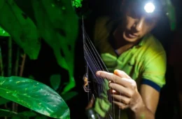 Musa realiza duas novas edições da Trilha Noturna em abril; saiba como participar