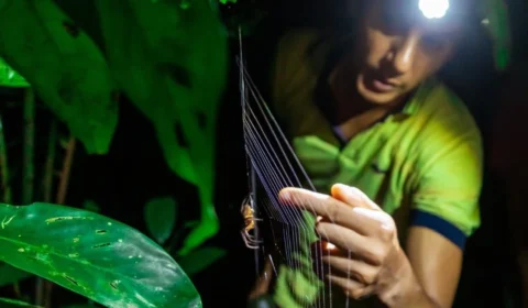 Musa realiza duas novas edições da Trilha Noturna em abril; saiba como participar