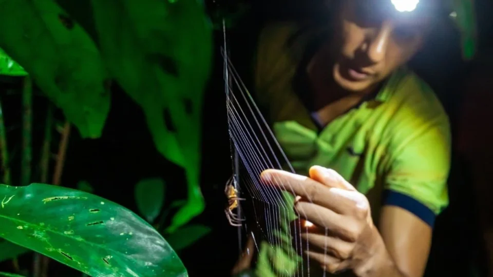 Musa realiza duas novas edições da Trilha Noturna em abril; saiba como participar