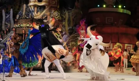 Garantido e Caprichoso serão tema de novela das sete; vencedora do Emmy Thelma Guedes conduzirá a trama