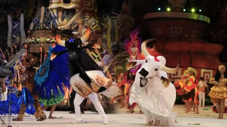 Garantido e Caprichoso serão tema de novela das sete; vencedora do Emmy Thelma Guedes conduzirá a trama