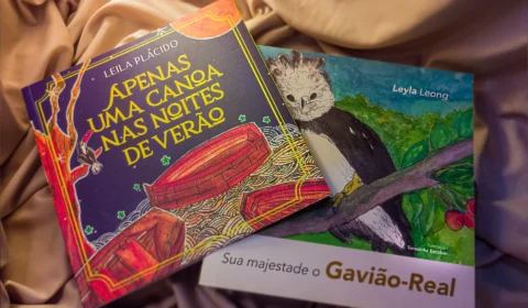 Leyla Leong e Leila Plácido: duas gerações da literatura infanto-juvenil no Amazonas