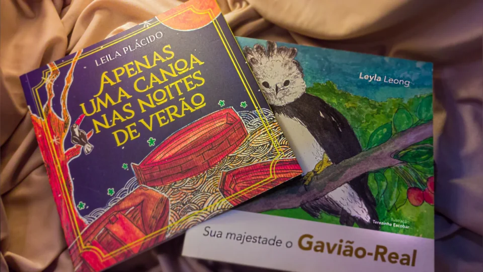 Leyla Leong e Leila Plácido: duas gerações da literatura infanto-juvenil no Amazonas