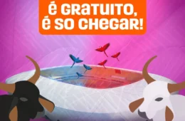 ATENÇÃO: entrada para o Norte Bumbás é 100% gratuita e sem burocracia