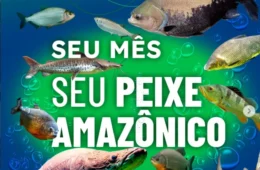 Descubra qual é o ‘seu peixe amazônico’ de acordo com o ‘seu mês’