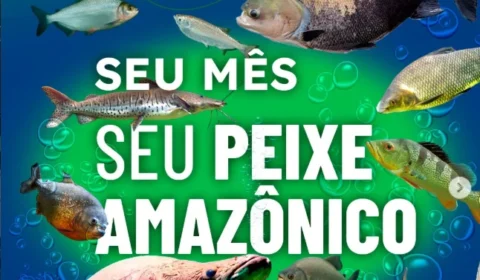 Descubra qual é o ‘seu peixe amazônico’ de acordo com o ‘seu mês’