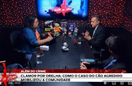 ASSISTA AGORA: Caso Orelha e outros crimes contra animais no Além do Crime