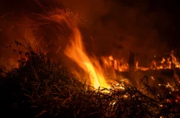 Fotógrafo do Acre vencedor do prêmio ‘Dom e Bruno’ fala do paradoxo de registrar a Amazônia