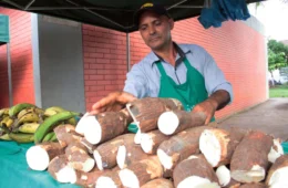 Feira Sabor do Norte reúne gastronomia, artesanato e agricultura familiar em Porto Velho ​