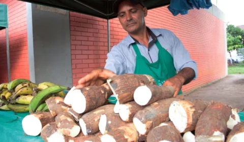 Feira Sabor do Norte reúne gastronomia, artesanato e agricultura familiar em Porto Velho ​