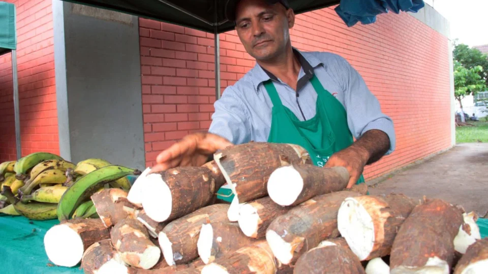 Feira Sabor do Norte reúne gastronomia, artesanato e agricultura familiar em Porto Velho ​