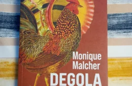 A literatura que confronta o leitor