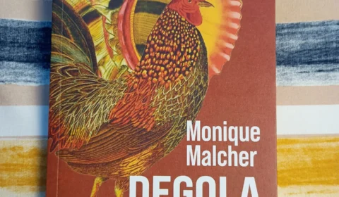 A literatura que confronta o leitor