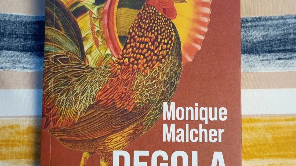 A literatura que confronta o leitor