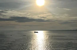O calor como força narrativa: quando o clima molda destinos na literatura amazônica
