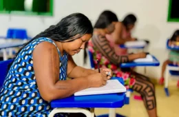 Das lutas do movimento indígena à criação da Universidade Federal Indígena