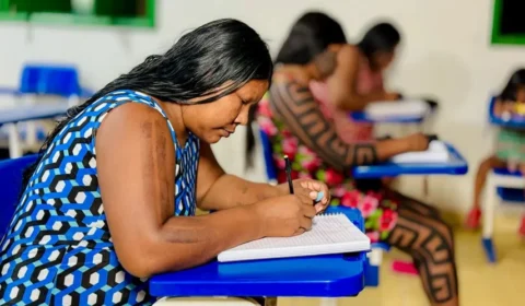 Das lutas do movimento indígena à criação da Universidade Federal Indígena