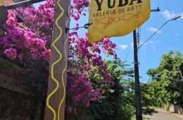 Yubá – O Lugar Onde o Futuro Floresce