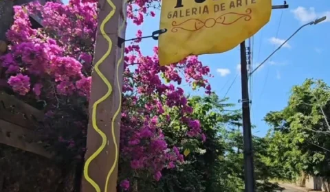 Yubá – O Lugar Onde o Futuro Floresce