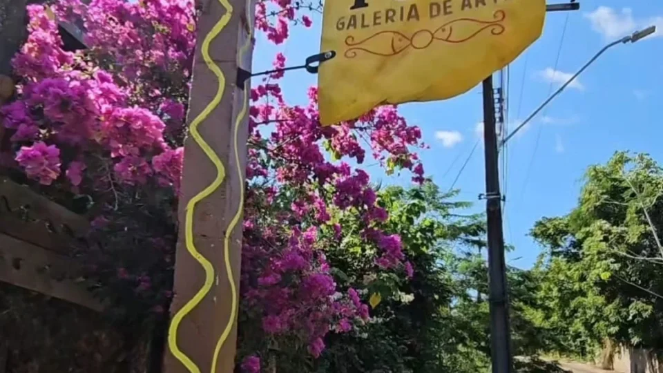 Yubá – O Lugar Onde o Futuro Floresce