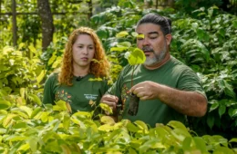 Conheça o casal paraense que produz mais de 100 espécies nativas e ajuda a reflorestar a Amazônia