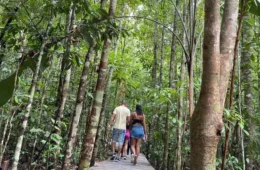 Musa atualiza ingressos e amplia opções de visitação em Manaus
