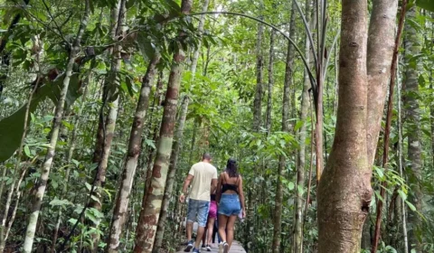 Musa atualiza ingressos e amplia opções de visitação em Manaus