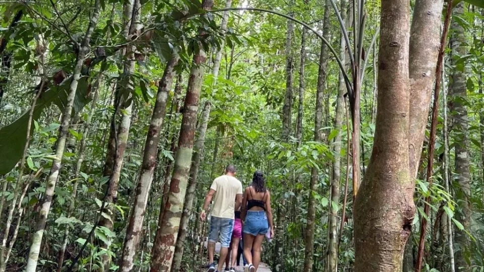 Musa atualiza ingressos e amplia opções de visitação em Manaus