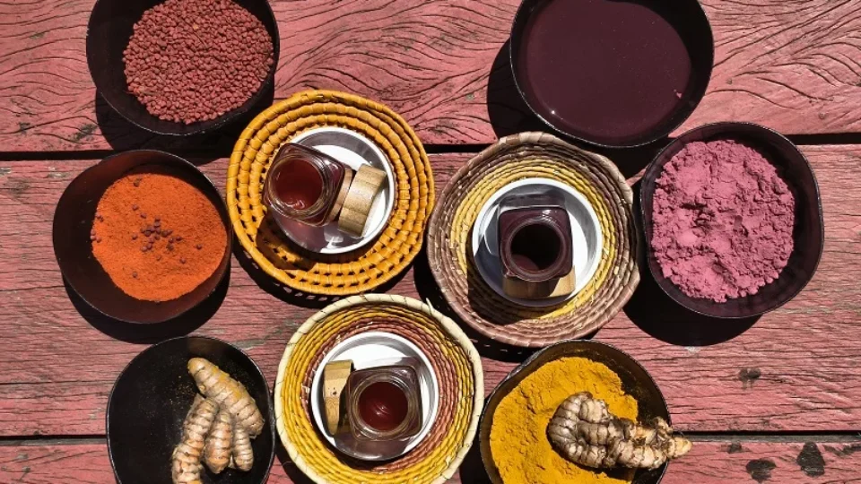 ‘Entre dobras e cores’ transforma açafrão, urucum e açaí em tintas para criar arte com estudantes de Manaus