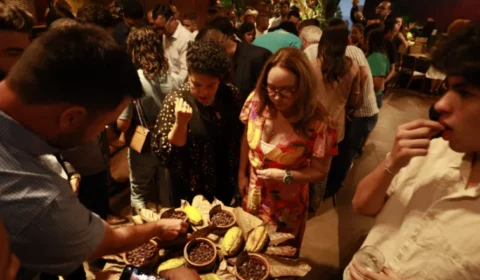 Rondônia e Pará concentram 15 finalistas do Concurso Nacional de Cacau Especial