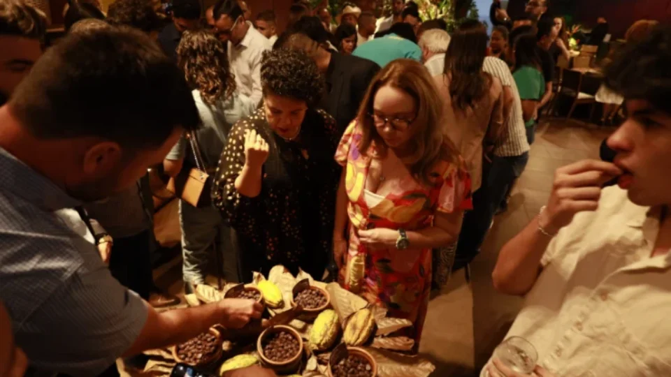 Rondônia e Pará concentram 15 finalistas do Concurso Nacional de Cacau Especial